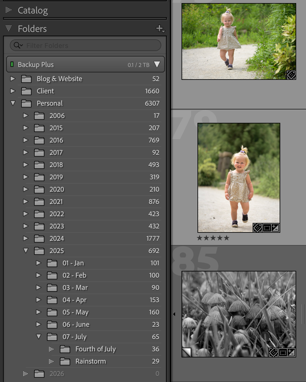 Choosing Your Perfect Folder Structure to Tame Your Lightroom Classic